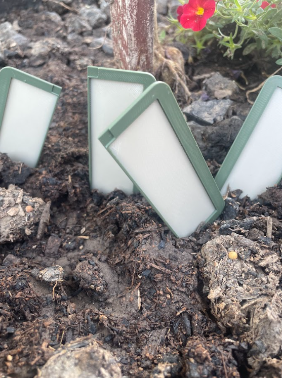 FleaSpring Sticky Tray 4 Pack