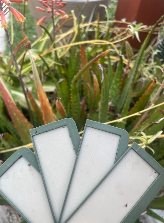 FleaSpring Sticky Tray 4 Pack